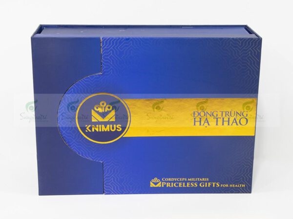 HỘP ĐỰNG ĐÔNG TRÙNG HẠ THẢO