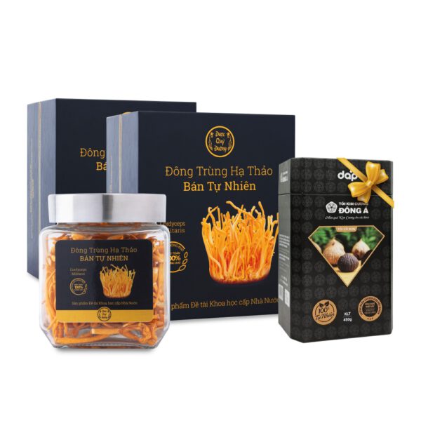 HỘP ĐỰNG ĐÔNG TRÙNG HẠ THẢO
