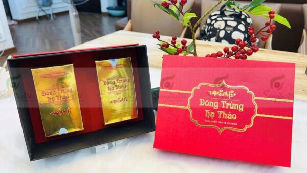 HỘP ĐỰNG ĐÔNG TRÙNG HẠ THẢO
