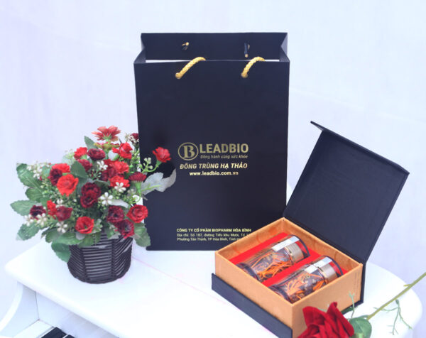 HỘP ĐỰNG ĐÔNG TRÙNG HẠ THẢO