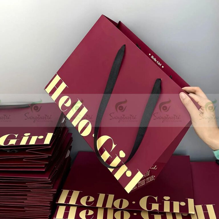 TÚI GIẤY ĐỰNG QUẦN ÁO 04